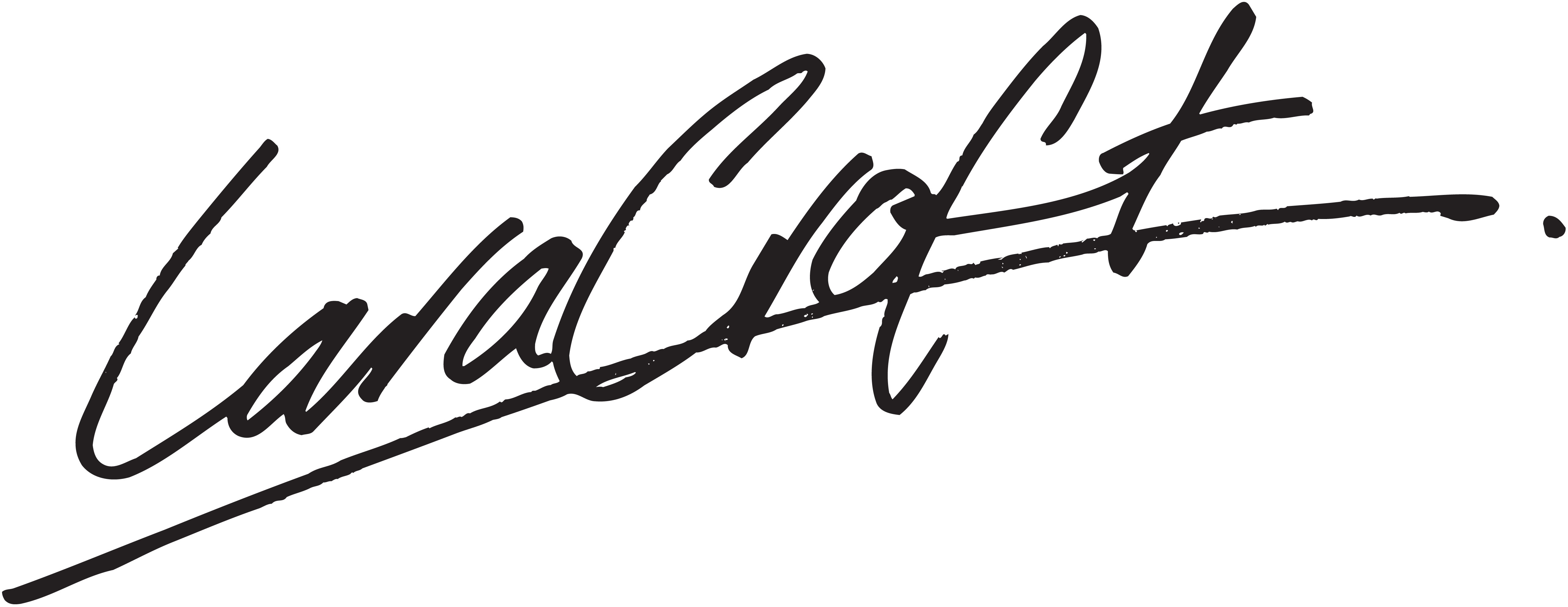 Signature